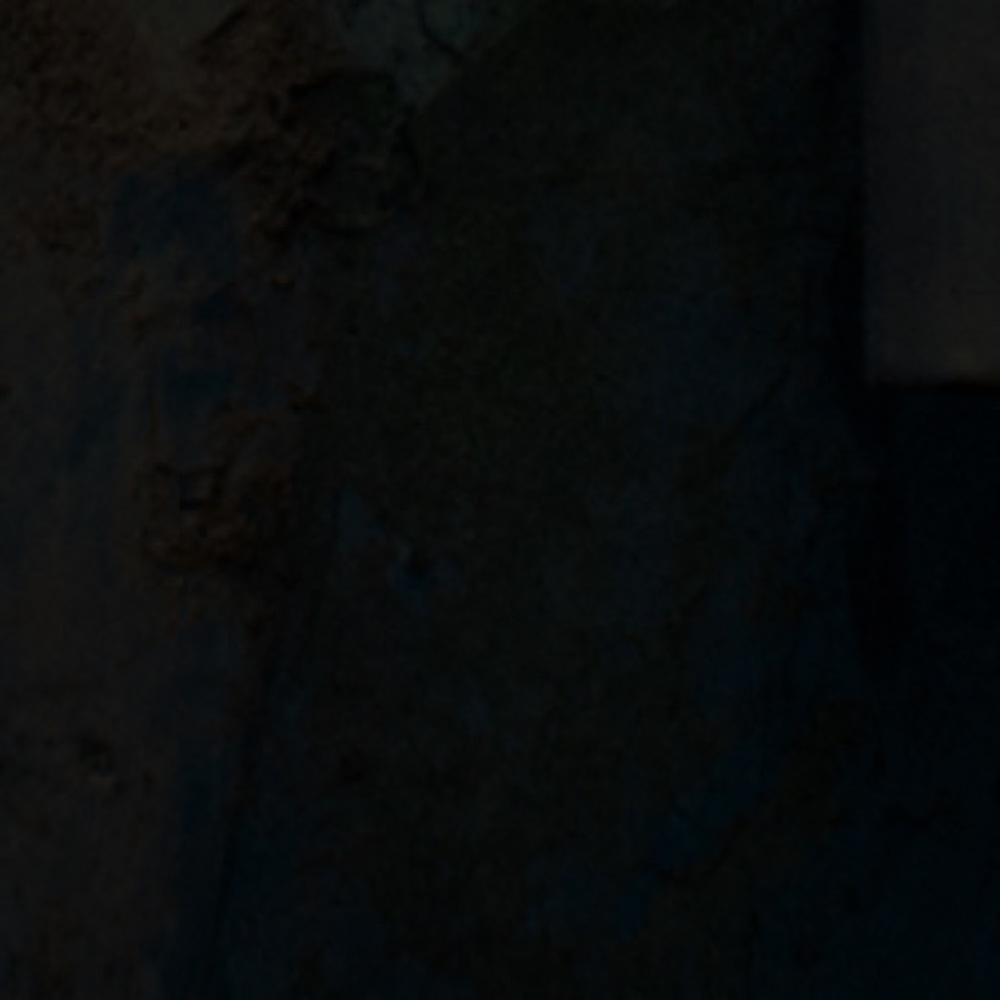 Meet your Posher, Jeanine